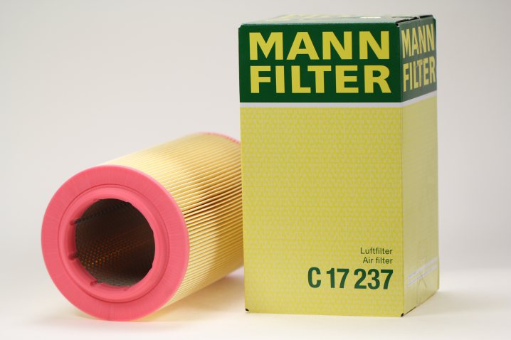 C 17 237 air filter element