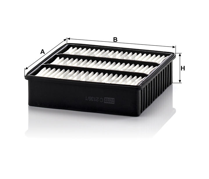 C 2136/1 air filter element