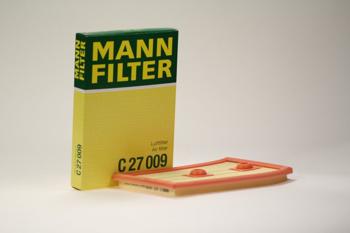 C 27 009 air filter element