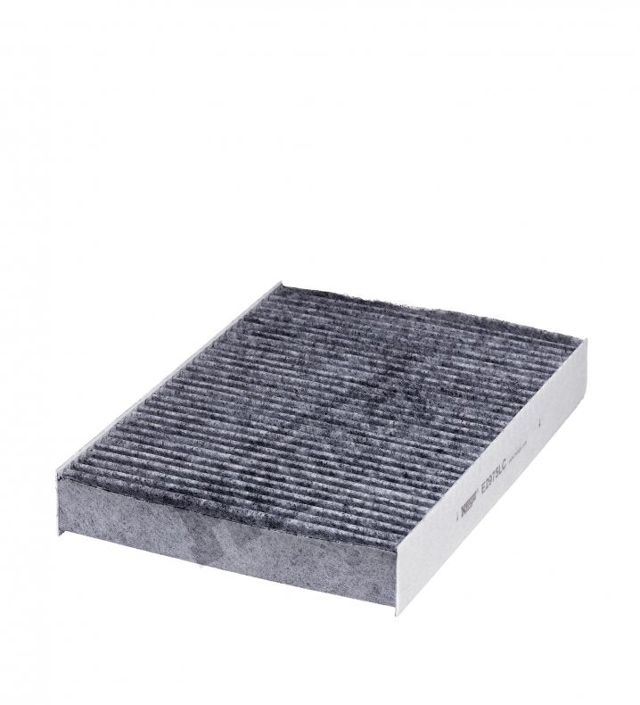 E2975LC cabin air filter element
