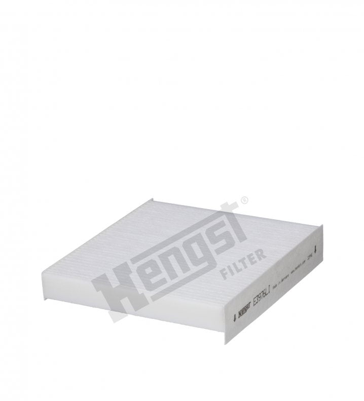 E3976LI cabin air filter element
