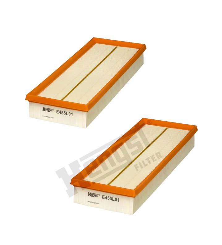E455L01-2 air filter element