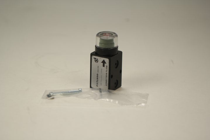 P171950 service indicator (visual)