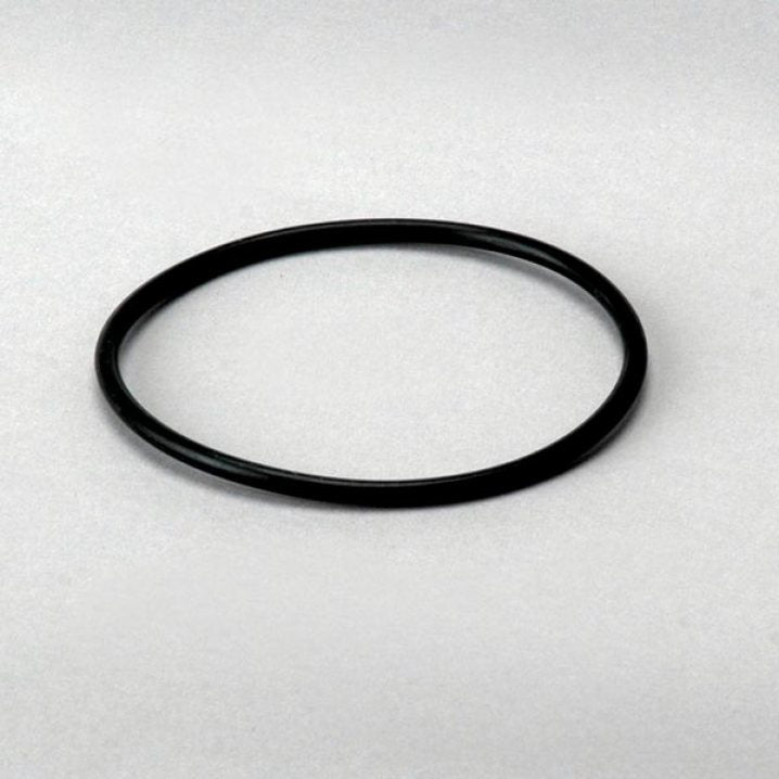 P563975 gasket