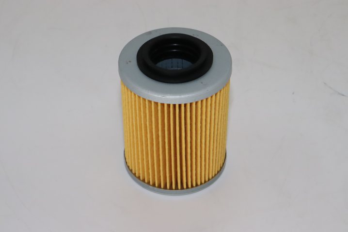 SO 6922 oil filter element