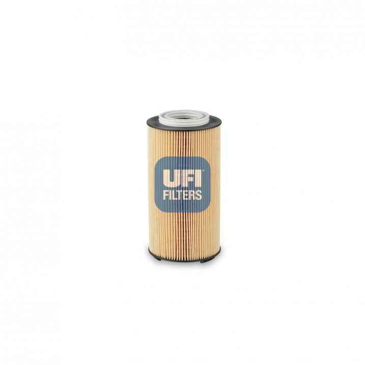25.239.00 oil filter element