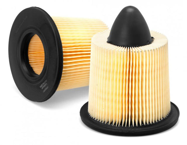 AF25254 air filter element