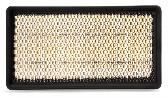 AF25256 air filter element