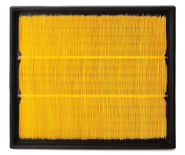 AF25319 air filter element