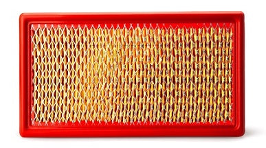 AF25629 air filter element