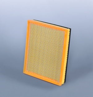 AF25797 air filter element