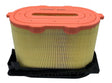 AF4243 air filter element