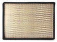 AF55787 air filter element