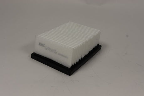 ASP 000505AG002 air filter element