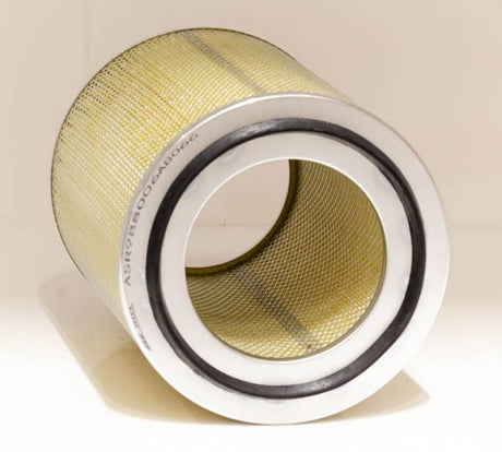 ASR 988006AB066 air filter