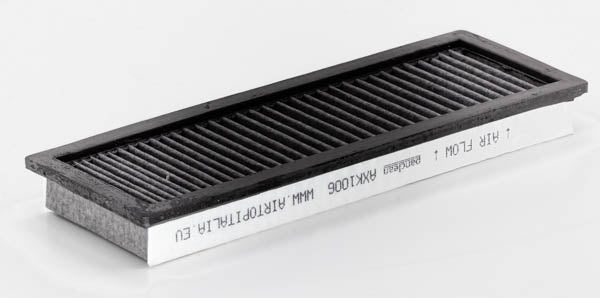 AXK1006 air filter