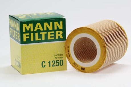 C 1250 air filter element