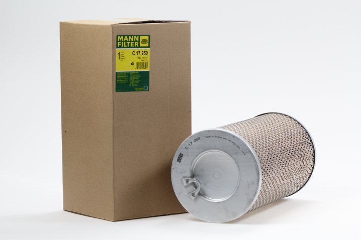 C 17 250 air filter element