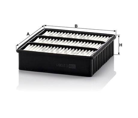 C 2136/1 air filter element