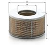C 22 013 air filter element