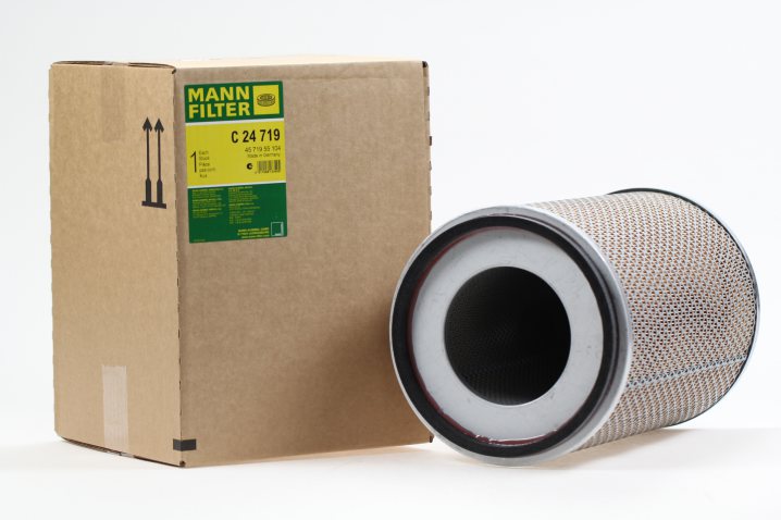 C 24 719 air filter element