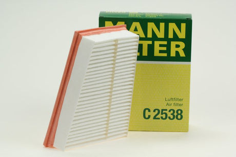 C 2538 air filter element