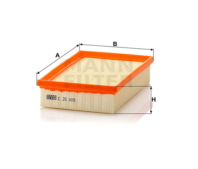 C 25 009 air filter element
