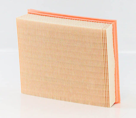 C 25 146 air filter element