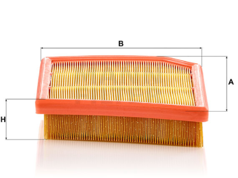 C 29 031 air filter element