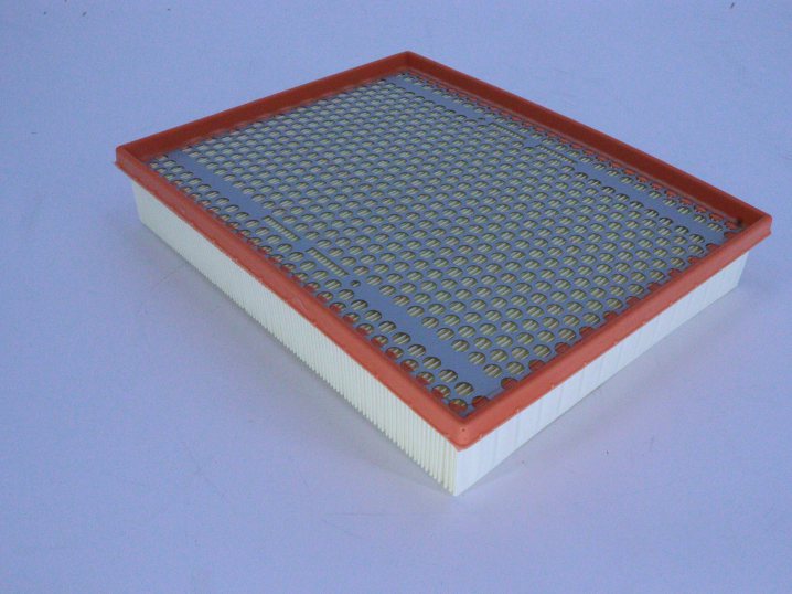 C 30 039 air filter element