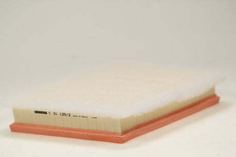 C 30 125/2 air filter element