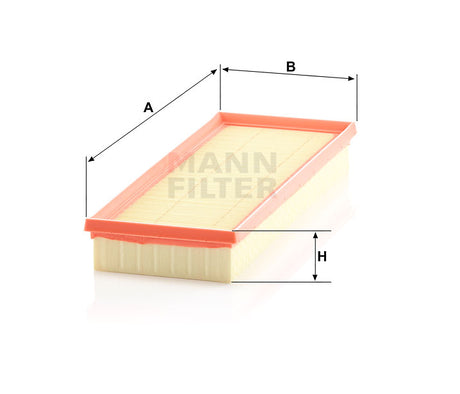 C 36 007 KIT air filter element (service kit)