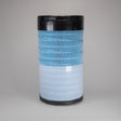 DBA9788 air filter element Donaldson Blue