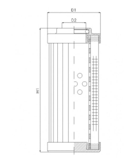 DVD256F20B/1 Filter element for pressure filter