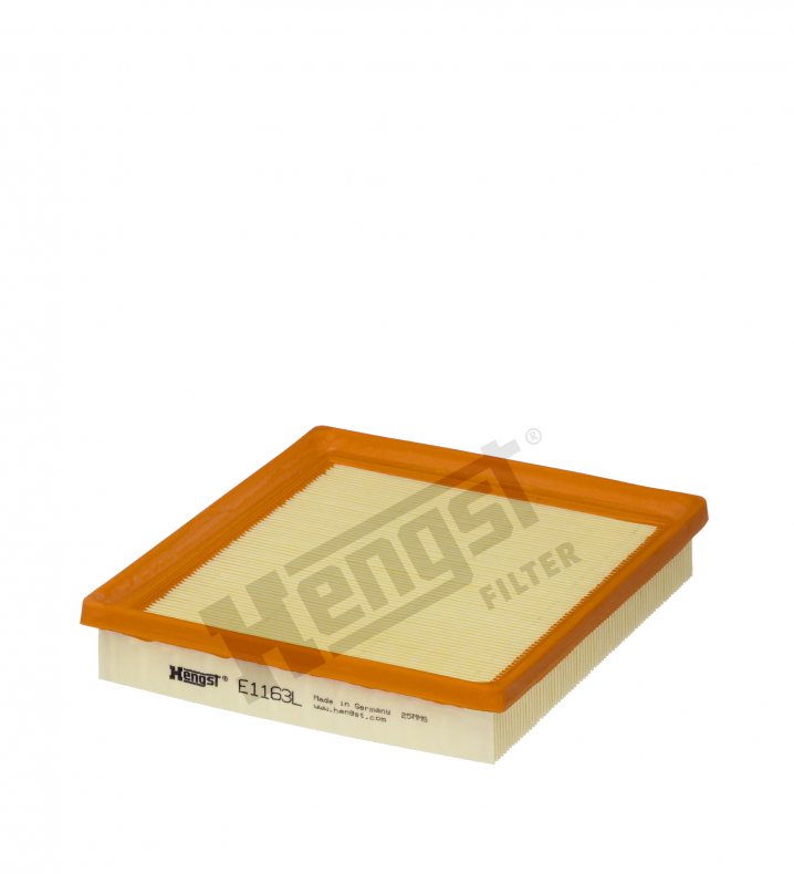 E1163L air filter element