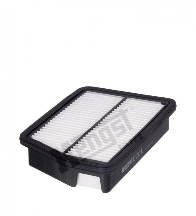 E1261L void without replacement