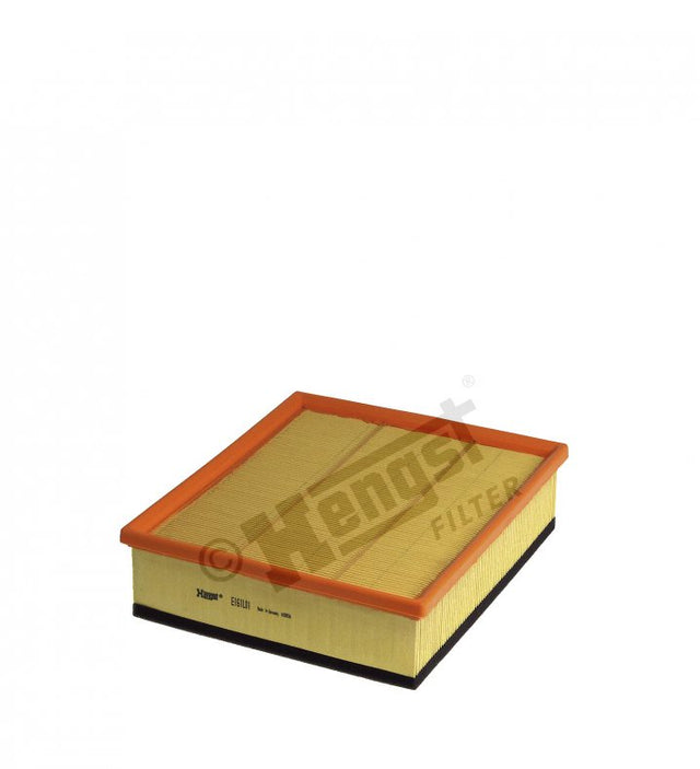 E161L01 air filter element