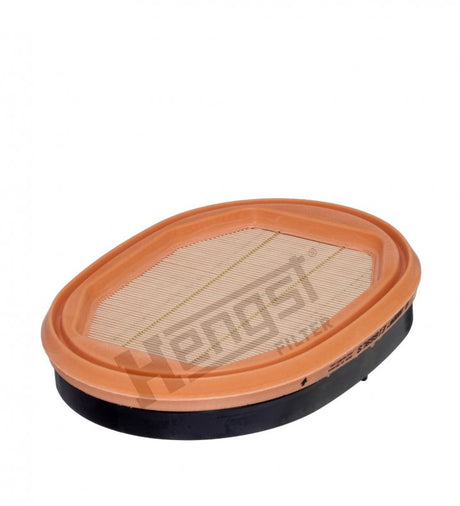 E1669LS air filter element