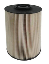 E2020KP02 D244 fuel filter element
