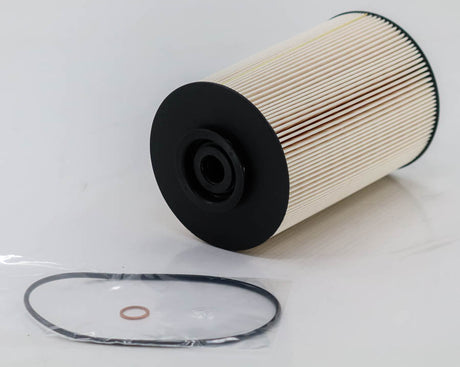 E2020KP02 D244 fuel filter element