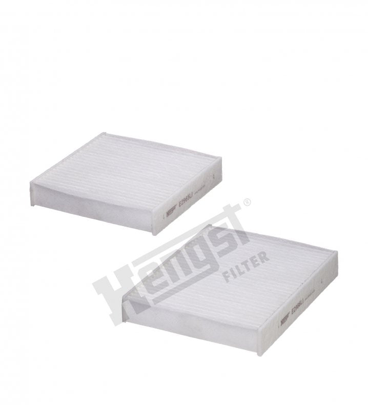 E2967LI-2 cabin air filter element