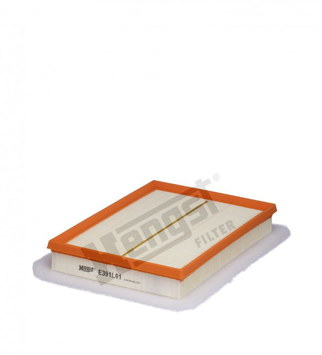 E391L01 air filter element