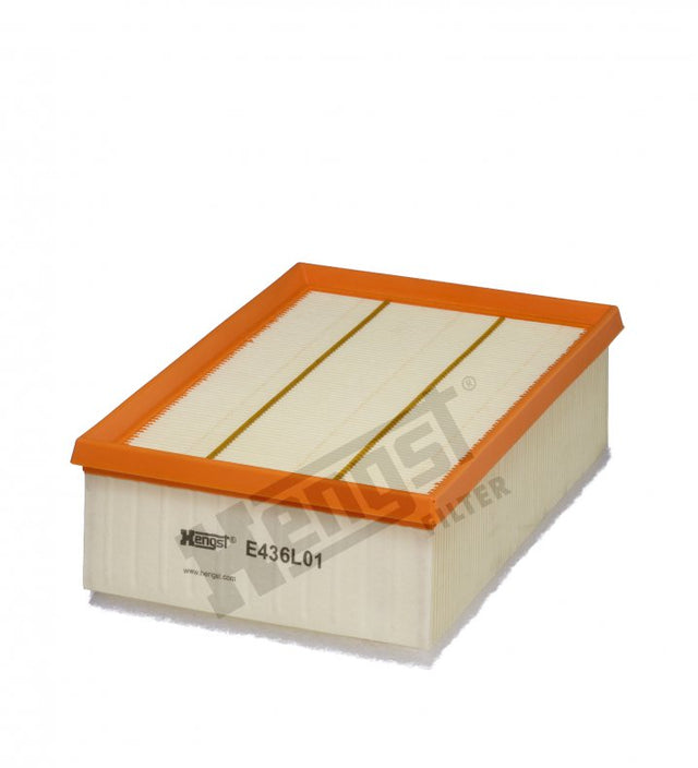 E436L01 air filter element