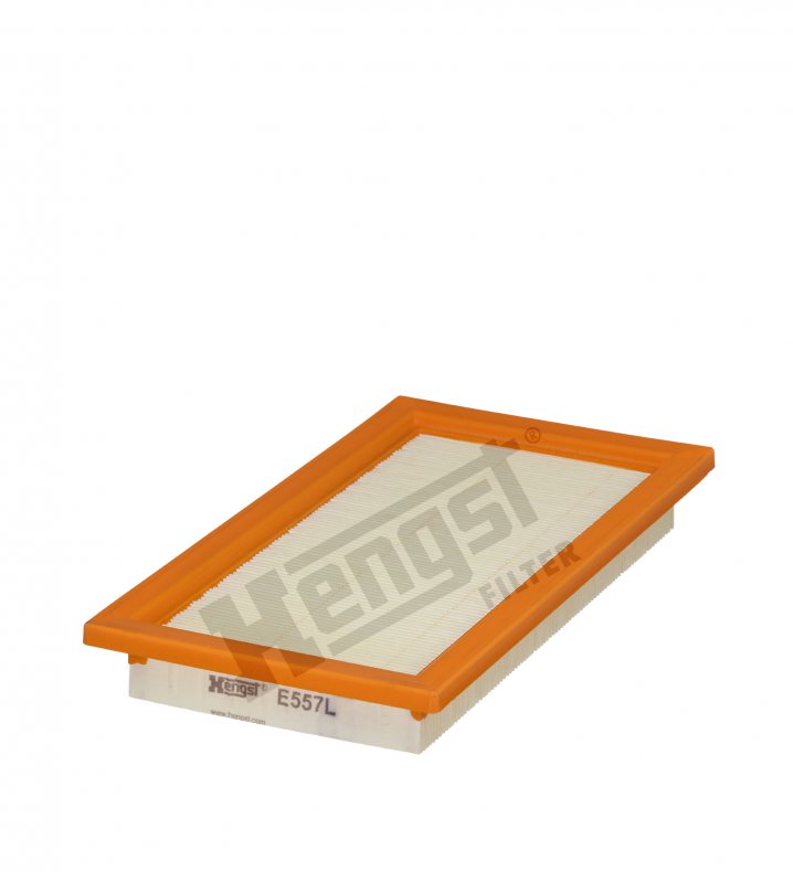 E557L air filter element