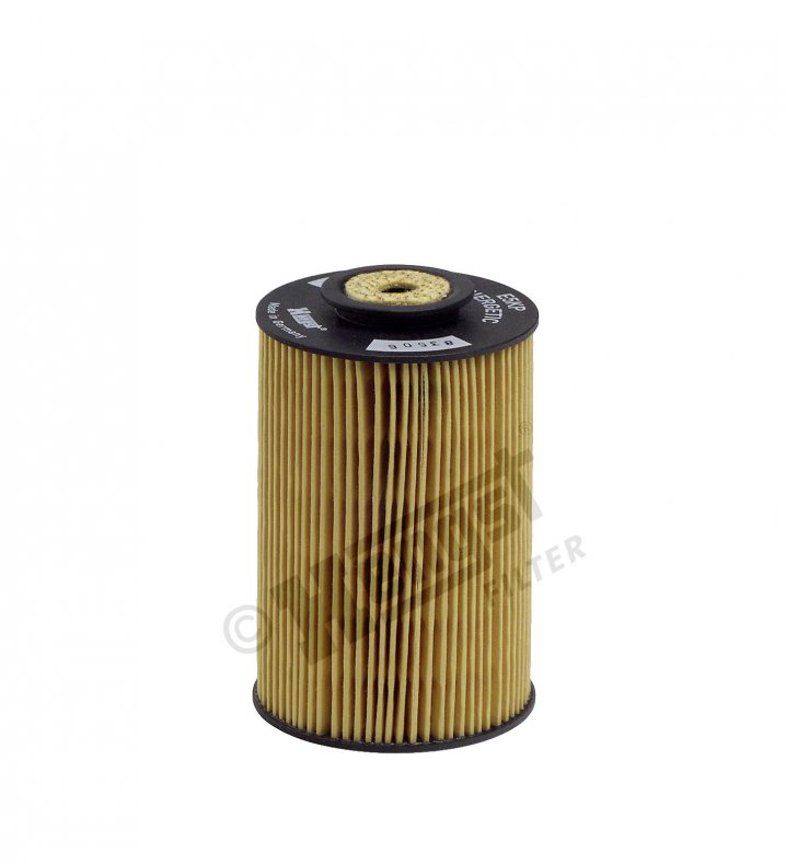 E5KP D12 fuel filter element