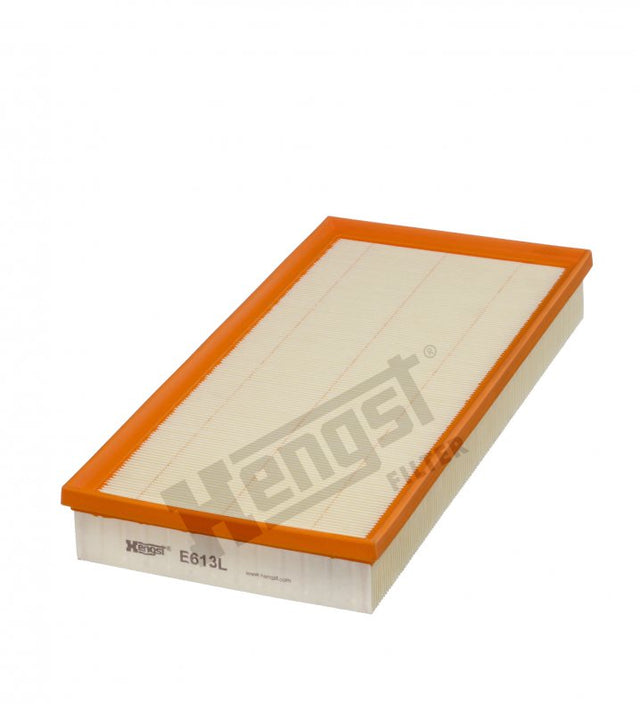 E613L air filter element