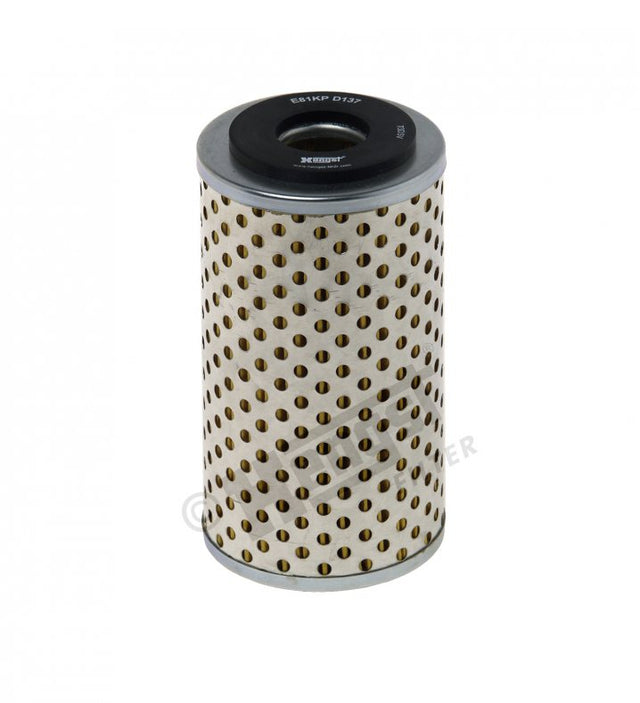 E81KP D137 fuel filter element