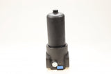 F420D141000BB6DT000 in-line filter housing (press. line)
