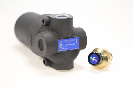 FD310T125ABB3DWVX5 in-line filter (pressure line)