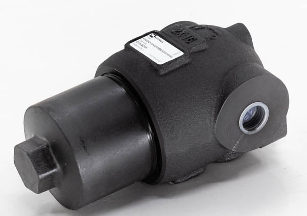 FH420D125G25ABB3D0S000S0 in-line filter (pressure line)